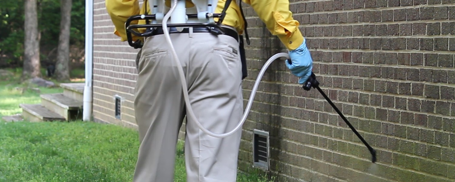 Cheap Pest Control Melbourne Page 2 Back2no Pest Control Sydney